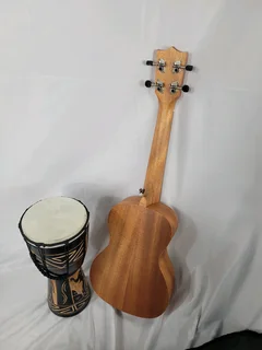 Ukulele guitar and djembe drum.