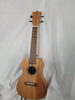 Ukulele guitar and djembe drum.