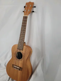 Ukulele guitar and djembe drum.