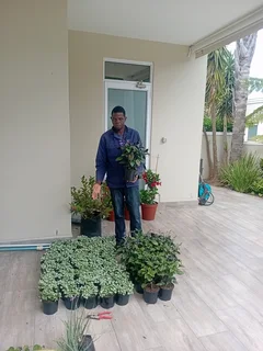 Am Nasibo nkhoma am from malawi, am looking Saturday job as garden and landscaping