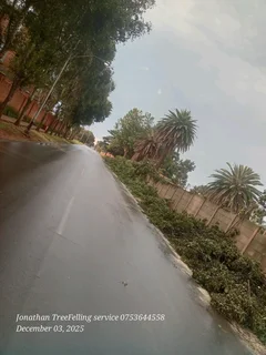 Treefelling Services