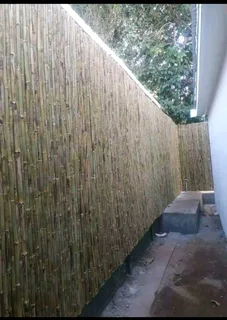Bamboo fencing and ceiling with