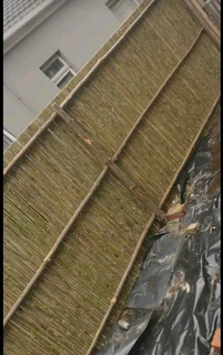 Bamboo fencing and ceiling with