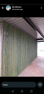 Bamboo fencing and ceiling