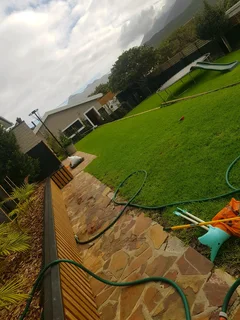 WE SUPPLY KIKUYU GRASS BUFFALO GRASS AND LM BEREA GRESS AND CYNODON GRASS