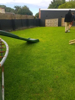 WE SUPPLY KIKUYU GRASS BUFFALO GRASS AND LM BEREA GRESS AND CYNODON GRASS