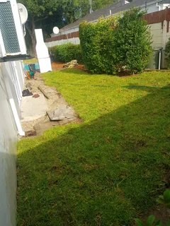 WE SUPPLY KIKUYU GRASS BUFFALO GRASS AND LM BEREA GRESS AND CYNODON GRASS