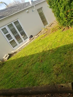 WE SUPPLY KIKUYU GRASS BUFFALO GRASS AND LM BEREA GRESS AND CYNODON GRASS