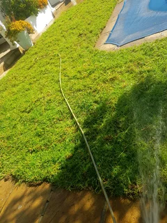 WE SUPPLY KIKUYU GRASS BUFFALO GRASS AND LM BEREA GRESS AND CYNODON GRASS