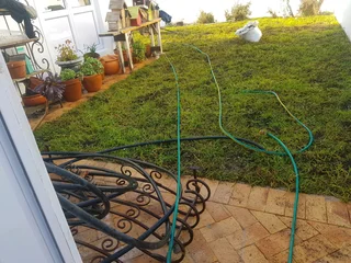 WE SUPPLY KIKUYU GRASS BUFFALO GRASS AND LM BEREA GRESS AND CYNODON GRASS