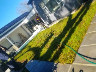 WE SUPPLY KIKUYU GRASS BUFFALO GRASS AND LM BEREA GRESS AND CYNODON GRASS