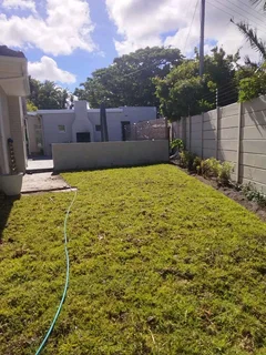 WE SUPPLY KIKUYU GRASS BUFFALO GRASS AND LM BEREA GRESS AND CYNODON GRASS