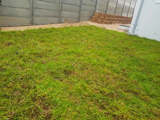 WE SUPPLY KIKUYU GRASS BUFFALO GRASS AND LM BEREA GRESS AND CYNODON GRASS