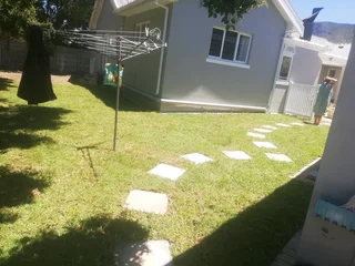 WE SUPPLY KIKUYU GRASS BUFFALO GRASS AND LM BEREA GRESS AND CYNODON GRASS