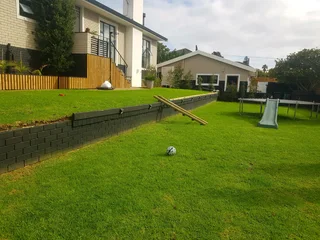 We Supply Kikuyu Grass Buffalo Grass And Lm Berea Gress And Cynodon Grass