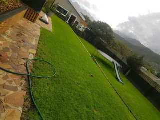 WE SUPPLY KIKUYU GRASS BUFFALO GRASS AND LM BEREA GRESS AND CYNODON GRASS