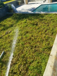 We supply Kikuyu grass buffalo grass and Lm berea gress and cynodon grass