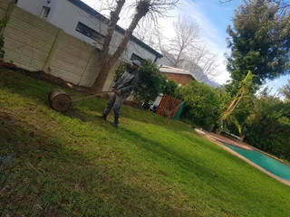 We supply Kikuyu grass buffalo grass and Lm berea gress and cynodon grass