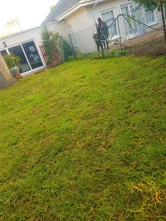 We supply Kikuyu grass buffalo grass and Lm berea gress and cynodon grass