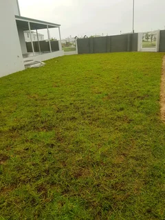 We supply Kikuyu grass buffalo grass and Lm berea gress and cynodon grass