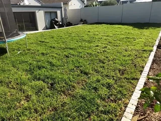 We supply Kikuyu grass buffalo grass and Lm berea gress and cynodon grass