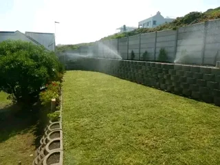 WE SUPPLY KIKUYU GRASS BUFFALO GRASS AND LM BEREA GRESS AND CYNODON GRASS