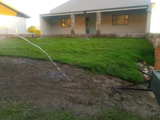 WE SUPPLY KIKUYU GRASS BUFFALO GRASS AND LM BEREA GRESS AND CYNODON GRASS