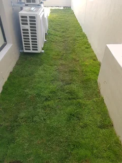 WE SUPPLY KIKUYU GRASS BUFFALO GRASS AND LM BEREA GRESS AND CYNODON GRASS