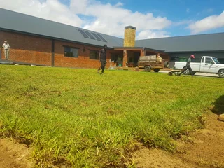 WE SUPPLY KIKUYU GRASS BUFFALO GRASS AND LM BEREA GRESS AND CYNODON GRASS