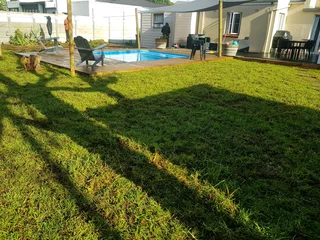 WE SUPPLY KIKUYU GRASS BUFFALO GRASS AND LM BEREA GRESS AND CYNODON GRASS