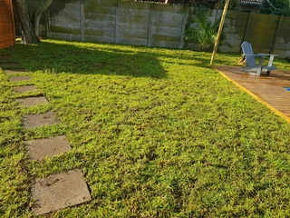 WE SUPPLY KIKUYU GRASS BUFFALO GRASS AND LM BEREA GRESS AND CYNODON GRASS