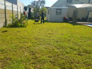 We supply Kikuyu grass buffalo grass and Lm berea gress and cynodon grass