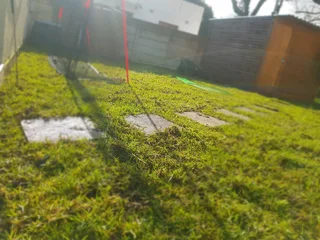 We supply Kikuyu grass buffalo grass and Lm berea gress and cynodon grass