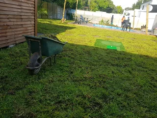 We supply Kikuyu grass buffalo grass and Lm berea gress and cynodon grass