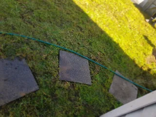 WE SUPPLY KIKUYU GRASS BUFFALO GRASS AND LM BEREA GRESS AND CYNODON GRASS