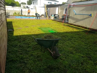 WE SUPPLY KIKUYU GRASS BUFFALO GRASS AND LM BEREA GRESS AND CYNODON GRASS