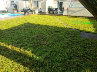 WE SUPPLY KIKUYU GRASS BUFFALO GRASS AND LM BEREA GRESS AND CYNODON GRASS