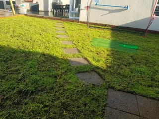 WE SUPPLY KIKUYU GRASS BUFFALO GRASS AND LM BEREA GRESS AND CYNODON GRASS