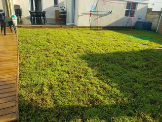 WE SUPPLY KIKUYU GRASS BUFFALO GRASS AND LM BEREA GRESS AND CYNODON GRASS