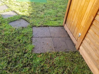 WE SUPPLY KIKUYU GRASS BUFFALO GRASS AND LM BEREA GRESS AND CYNODON GRASS