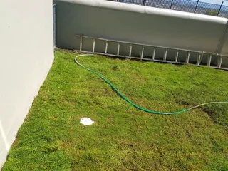 WE SUPPLY KIKUYU GRASS BUFFALO GRASS AND LM BEREA GRESS AND CYNODON GRASS