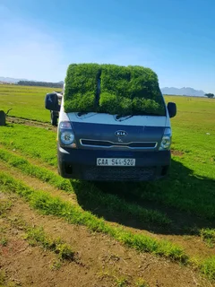WE SUPPLY KIKUYU GRASS BUFFALO GRASS AND LM BEREA GRESS AND CYNODON GRASS