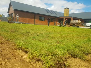 WE SUPPLY KIKUYU GRASS BUFFALO GRASS AND LM BEREA GRESS AND CYNODON GRASS