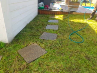 We supply Kikuyu grass buffalo grass and Lm berea gress and cynodon grass