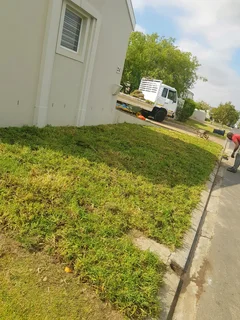 We supply Kikuyu grass buffalo grass and Lm berea gress and cynodon grass