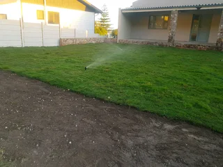 We supply Kikuyu grass buffalo grass and Lm berea gress and cynodon grass