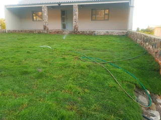 WE SUPPLY KIKUYU GRASS BUFFALO GRASS AND LM BEREA GRESS AND CYNODON GRASS