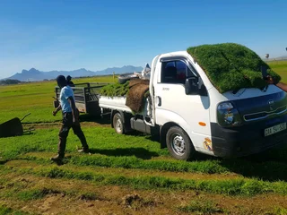 WE SUPPLY KIKUYU GRASS BUFFALO GRASS AND LM BEREA GRESS AND CYNODON GRASS