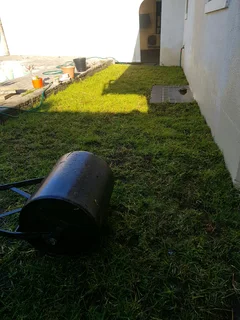 WE SUPPLY KIKUYU GRASS BUFFALO GRASS AND LM BEREA GRESS AND CYNODON GRASS