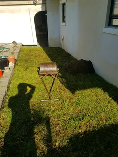 WE SUPPLY KIKUYU GRASS BUFFALO GRASS AND LM BEREA GRESS AND CYNODON GRASS